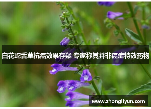 白花蛇舌草抗癌效果存疑 专家称其并非癌症特效药物